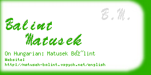 balint matusek business card